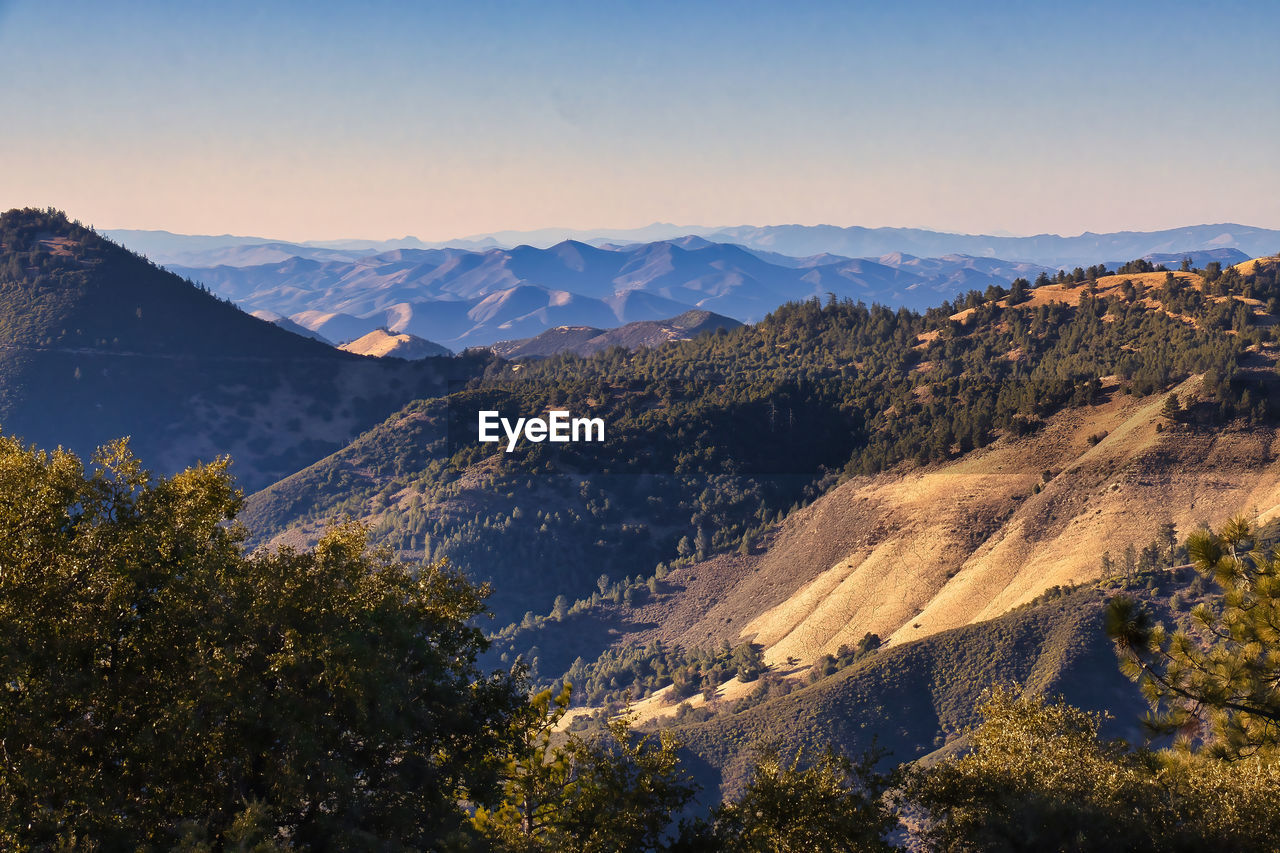 SCENIC VIEW OF TREES AND MOUNTAINS AGAINST SKY