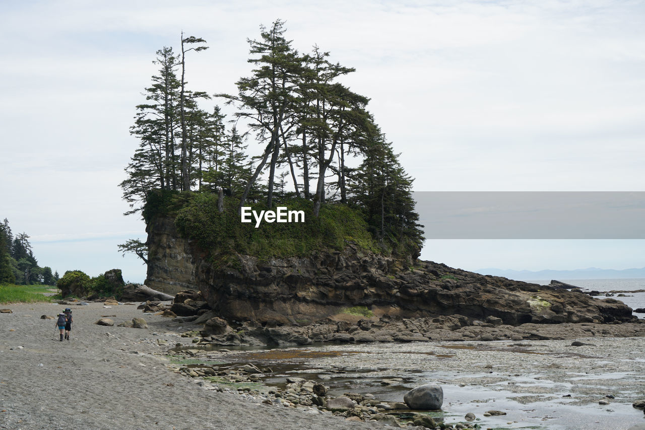 Rear view of walking at beach against sky