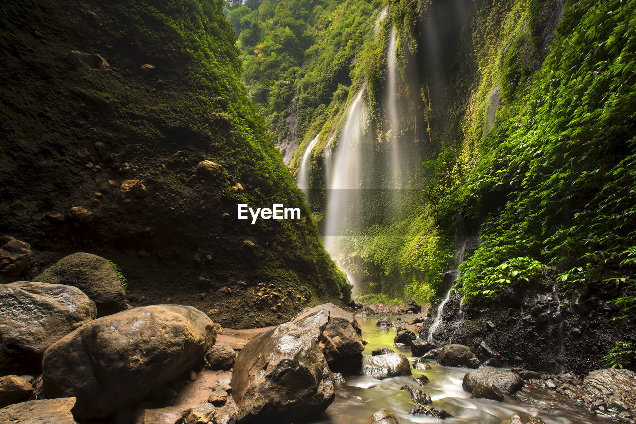 Scenic view of waterfall in forest