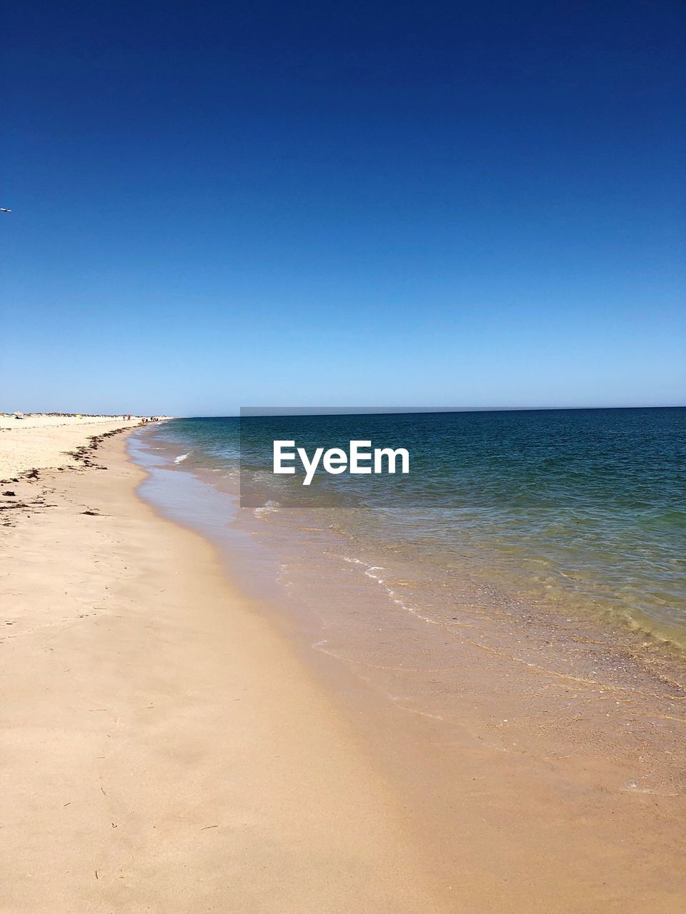 Scenic view of beach against clear blue sky