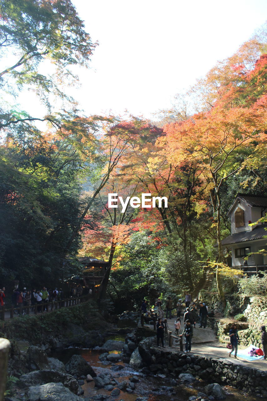 TREES AND PLANTS IN PARK DURING AUTUMN AGAINST SKY