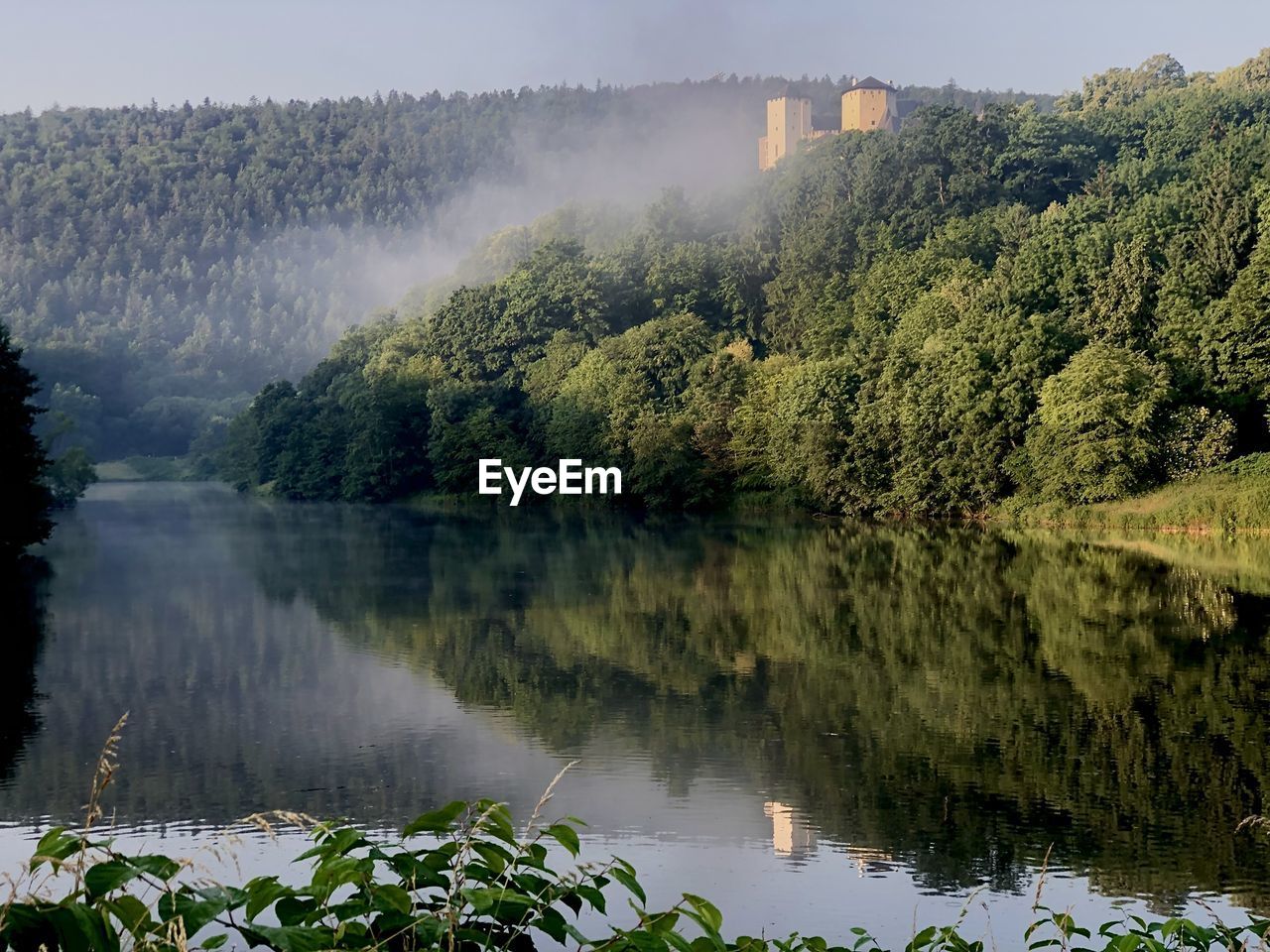 Scenic view of lake by trees in forest