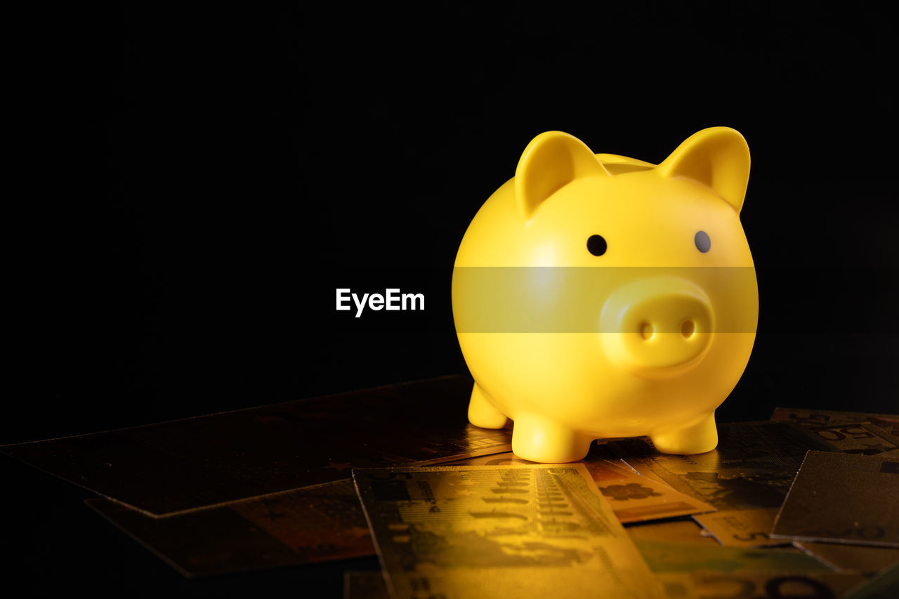 finance, savings, investment, currency, business, piggy bank, wealth, coin, banking, coin bank, yellow, home finances, corporate business, debt, planning, economy, money handling, bank account, finance and economy, recession, copy space, success, no people, business finance and industry, lighting, bankruptcy, indoors, paper currency