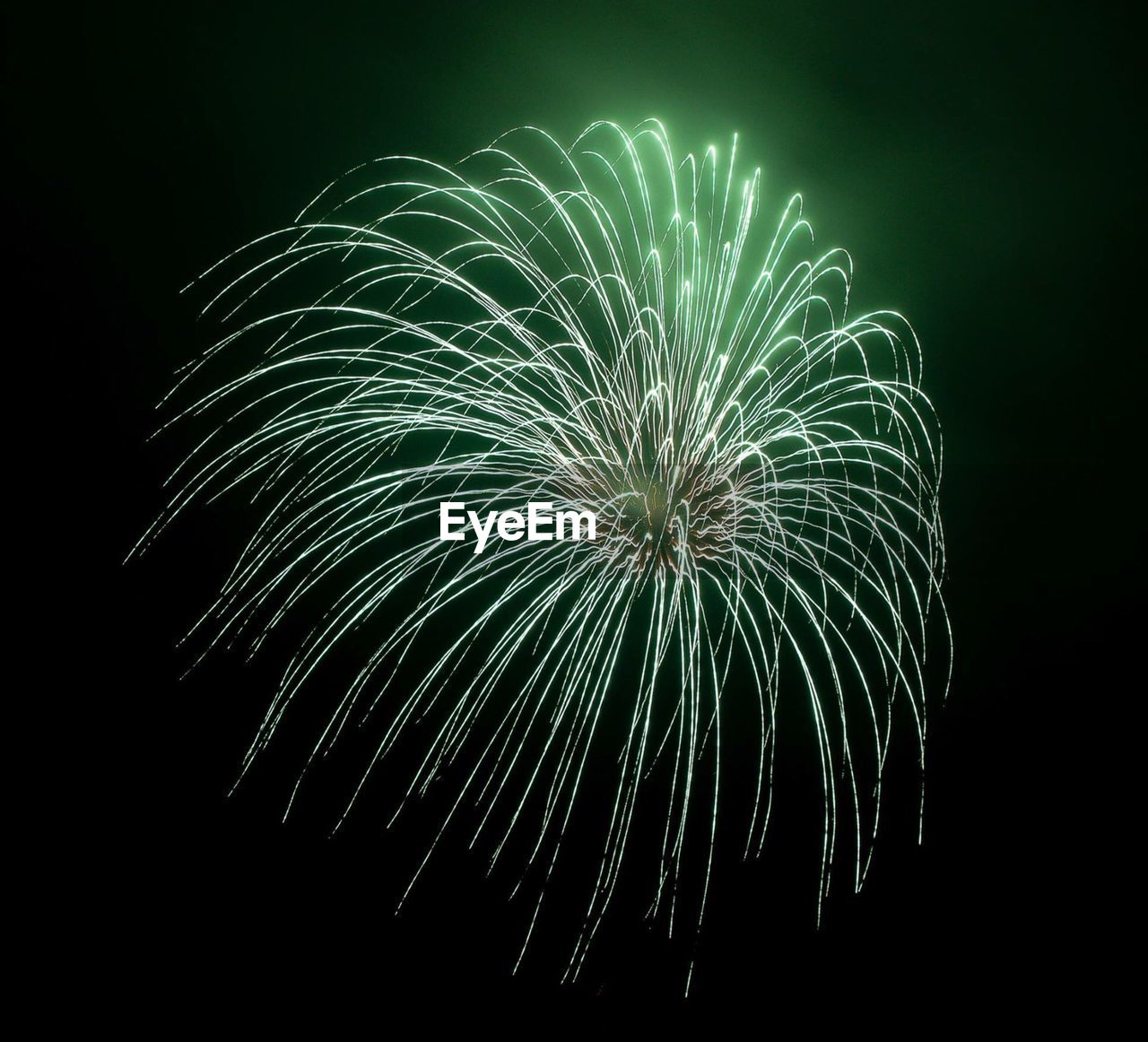 Low angle view of firework display against sky at night