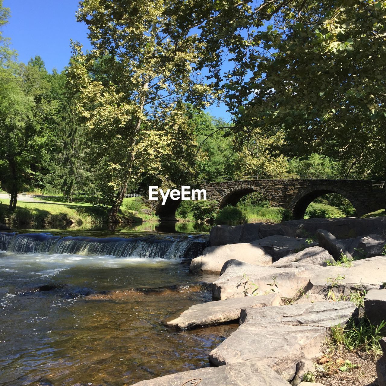 SCENIC VIEW OF RIVER FLOWING THROUGH TREES