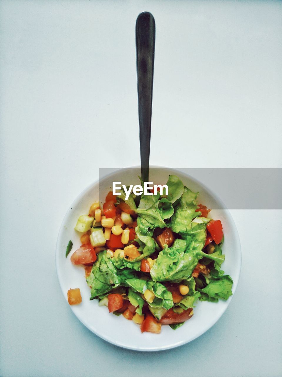 DIRECTLY ABOVE SHOT OF SALAD IN BOWL