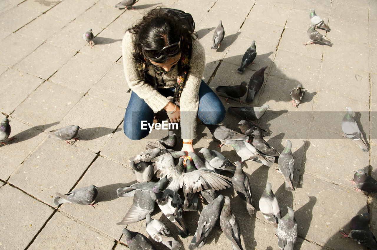 High angle view of woman feeding pigeons
