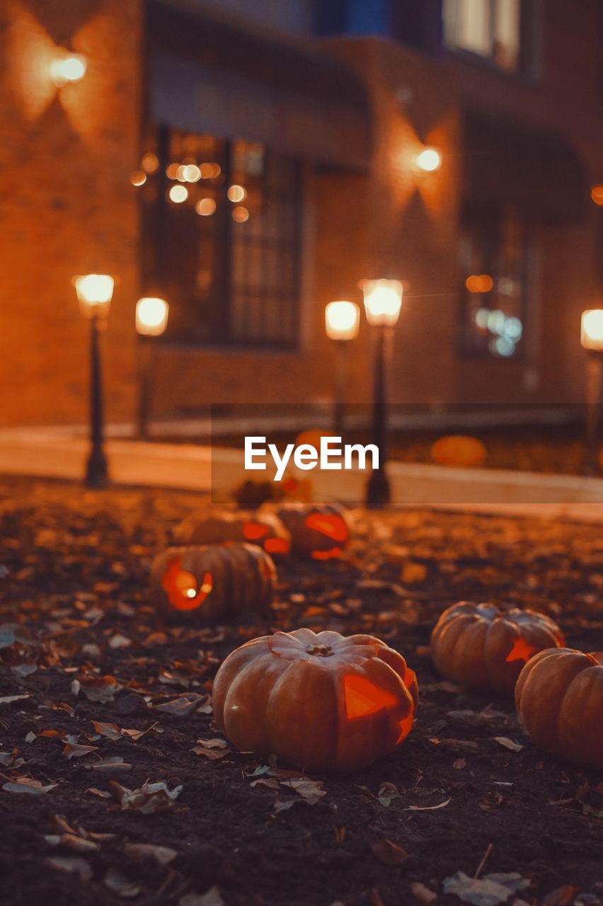 View of pumpkins on illuminated street during night