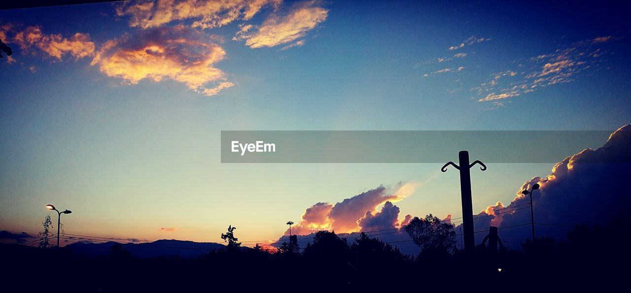 LOW ANGLE VIEW OF SILHOUETTE TREES AGAINST SKY