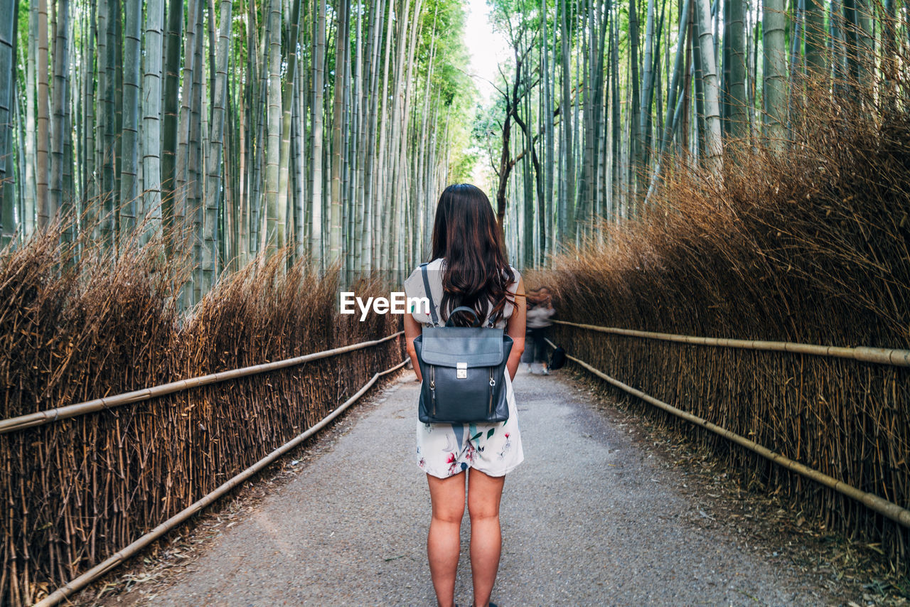 Rear view of woman standing on footpath in forest
