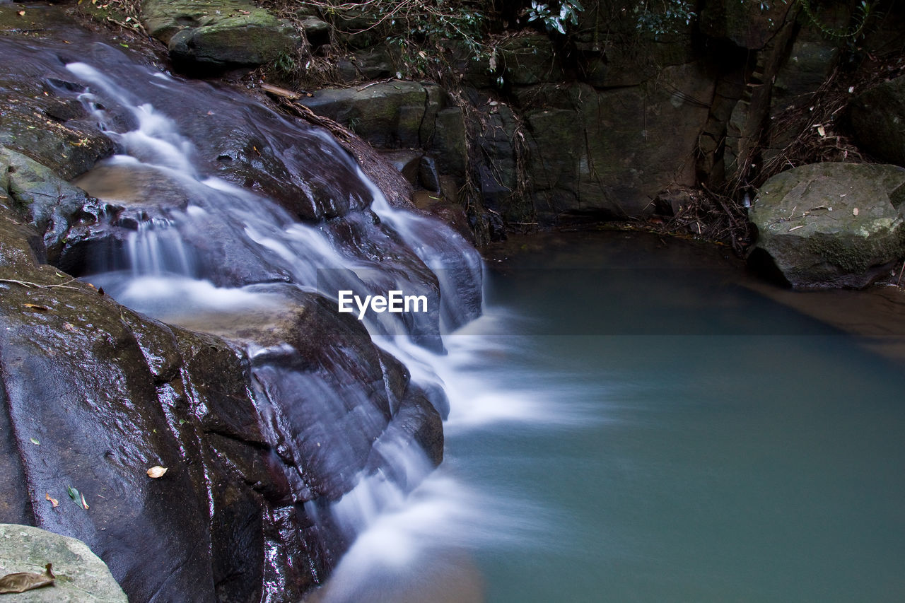 Scenic view of waterfall in forest