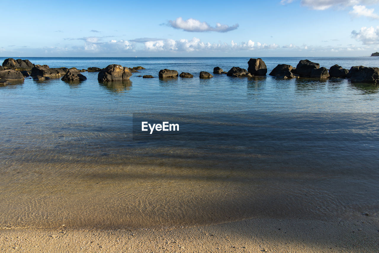 water, sea, shore, land, sky, horizon, beach, body of water, ocean, coast, nature, sand, wave, scenics - nature, beauty in nature, cloud, reflection, bay, environment, morning, rock, landscape, tranquility, travel destinations, no people, animal, travel, tranquil scene, coastline, blue, outdoors, animal themes, animal wildlife, horizon over water, dusk, seascape, island, trip, day, holiday, non-urban scene, vacation, wildlife, tourism, mammal, idyllic