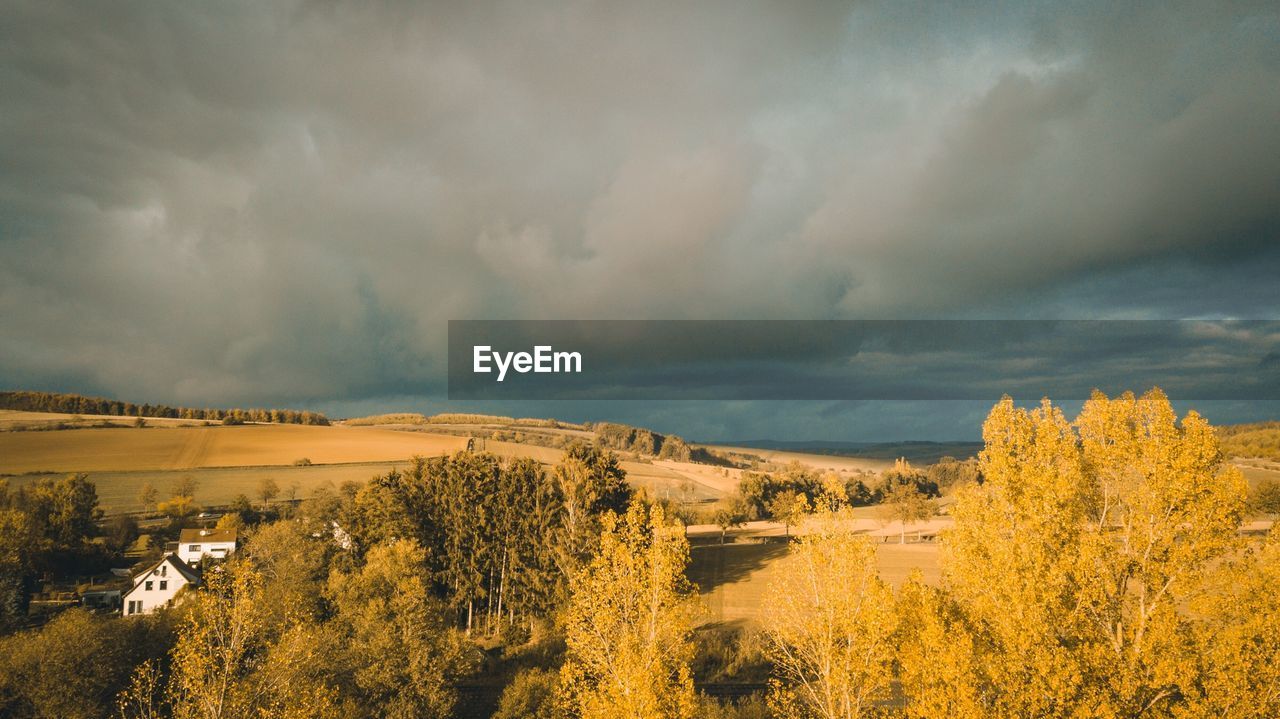 Scenic view of trees on field against sky