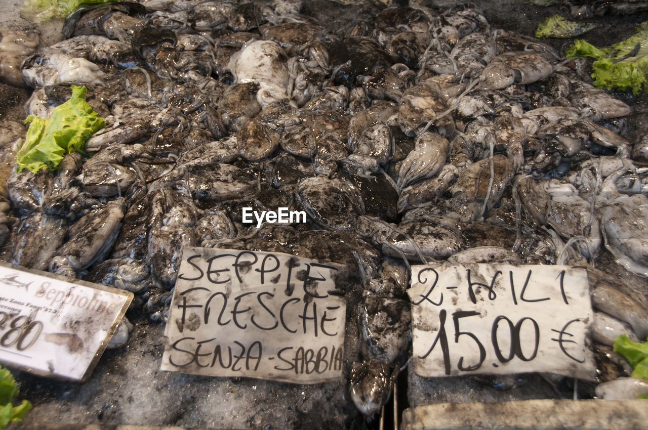 CLOSE-UP OF TEXT WRITTEN ON ROCK