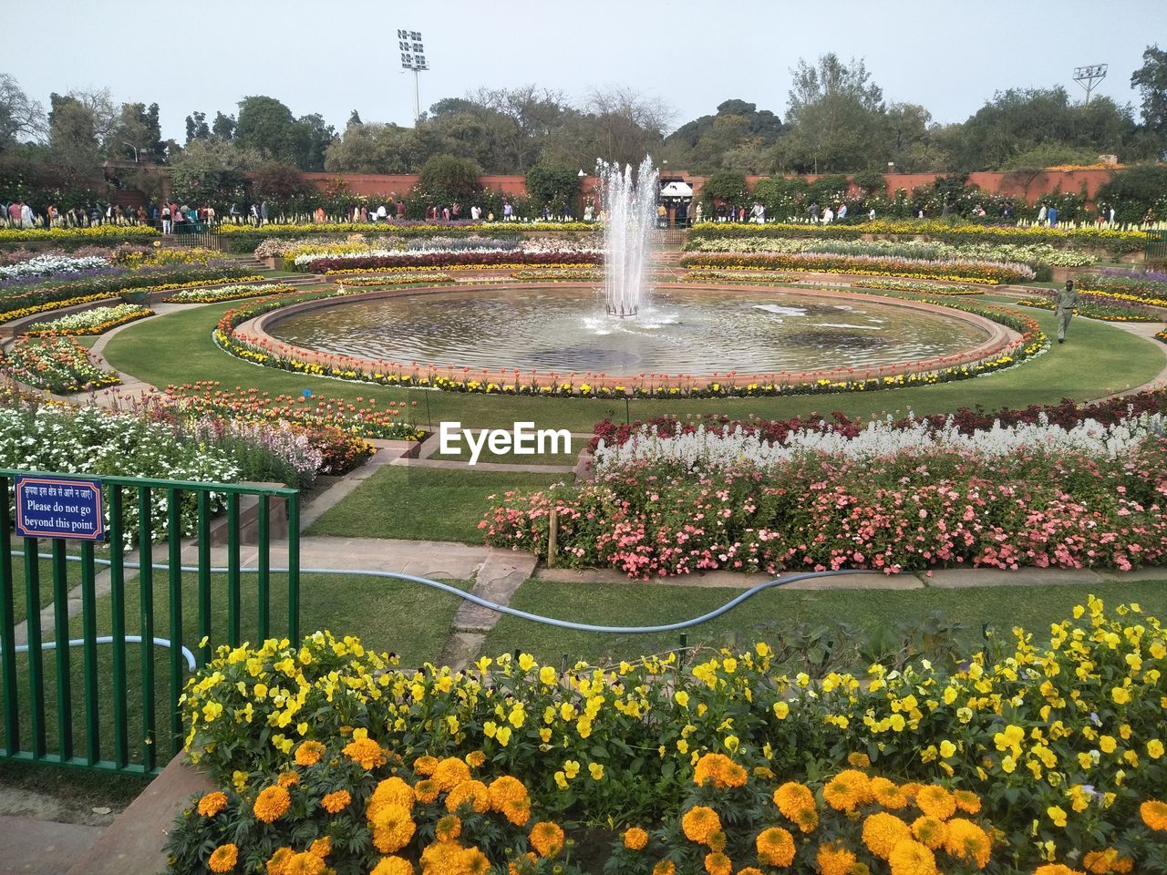 SCENIC VIEW OF FLOWERING PLANTS IN PARK AGAINST TREES