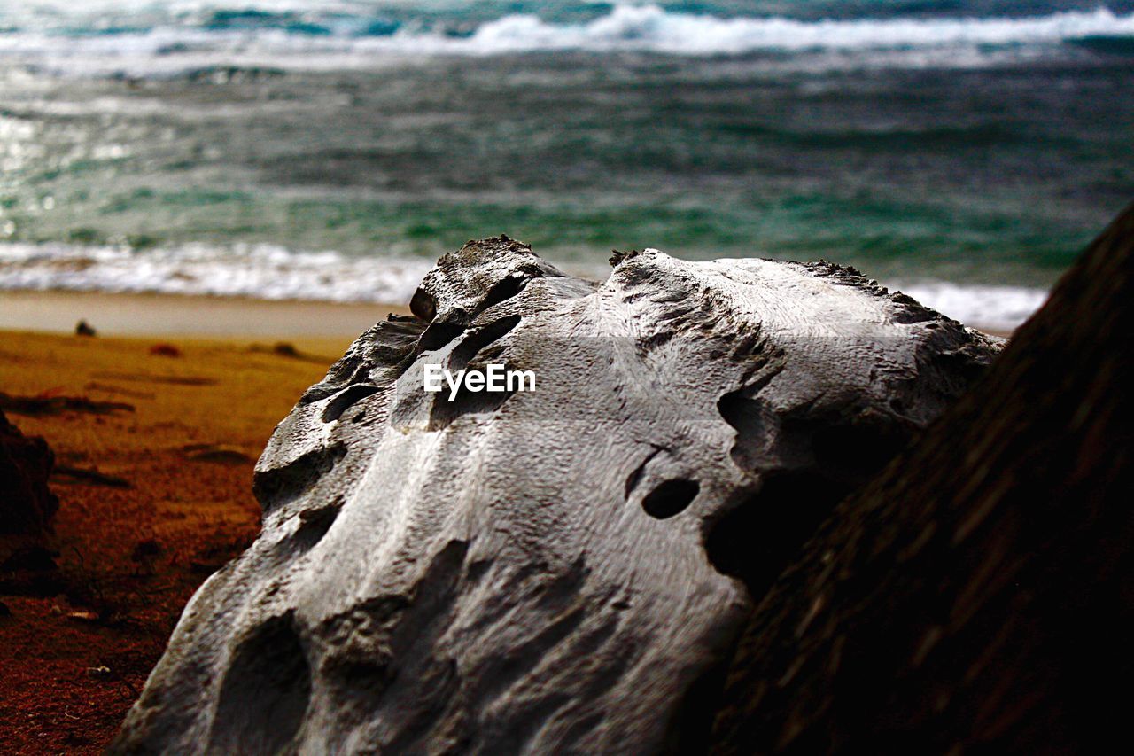 CLOSE-UP OF SHORE AGAINST SKY