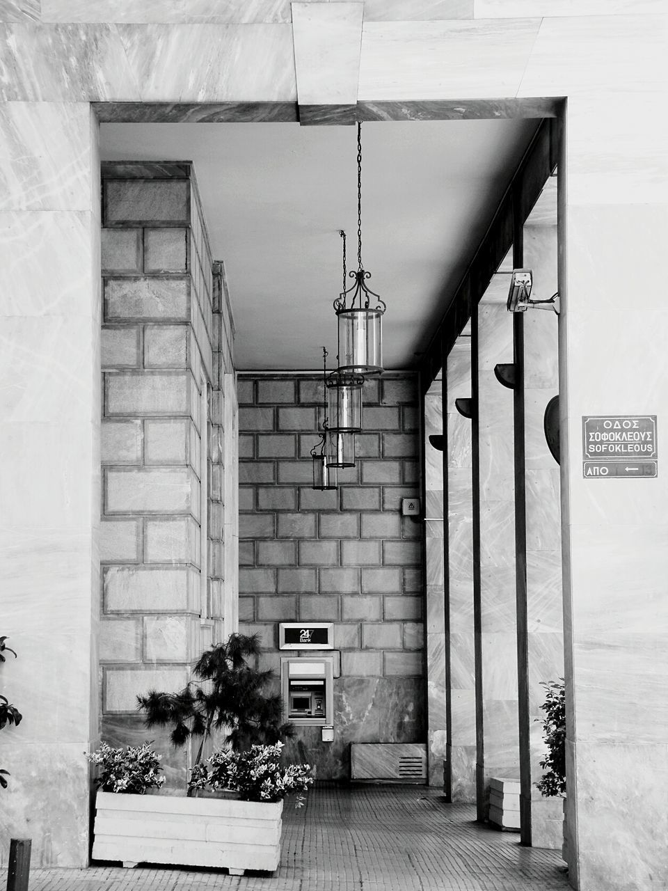 Potted plants in corridor