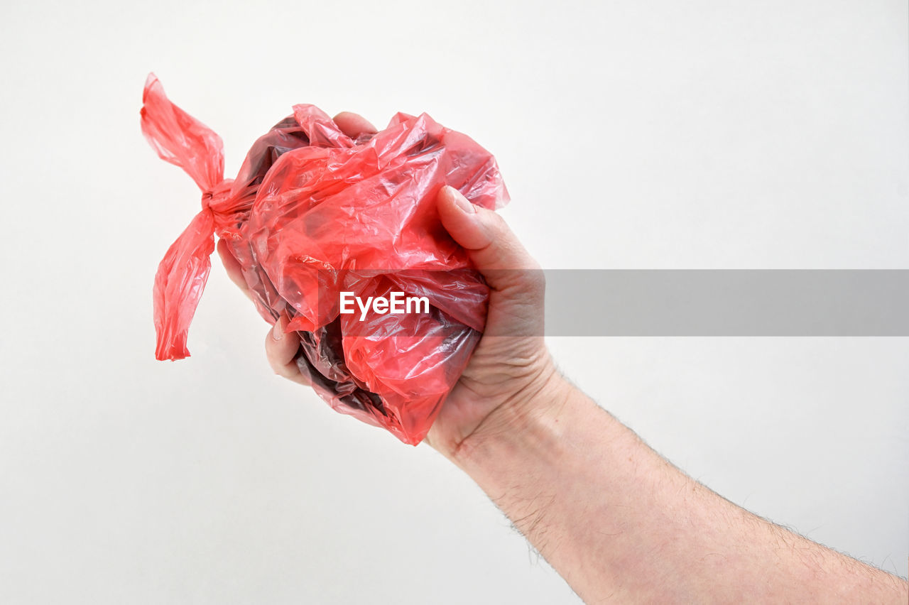 pink, hand, red, flower, one person, studio shot, indoors, holding, adult, petal, close-up, white background, freshness