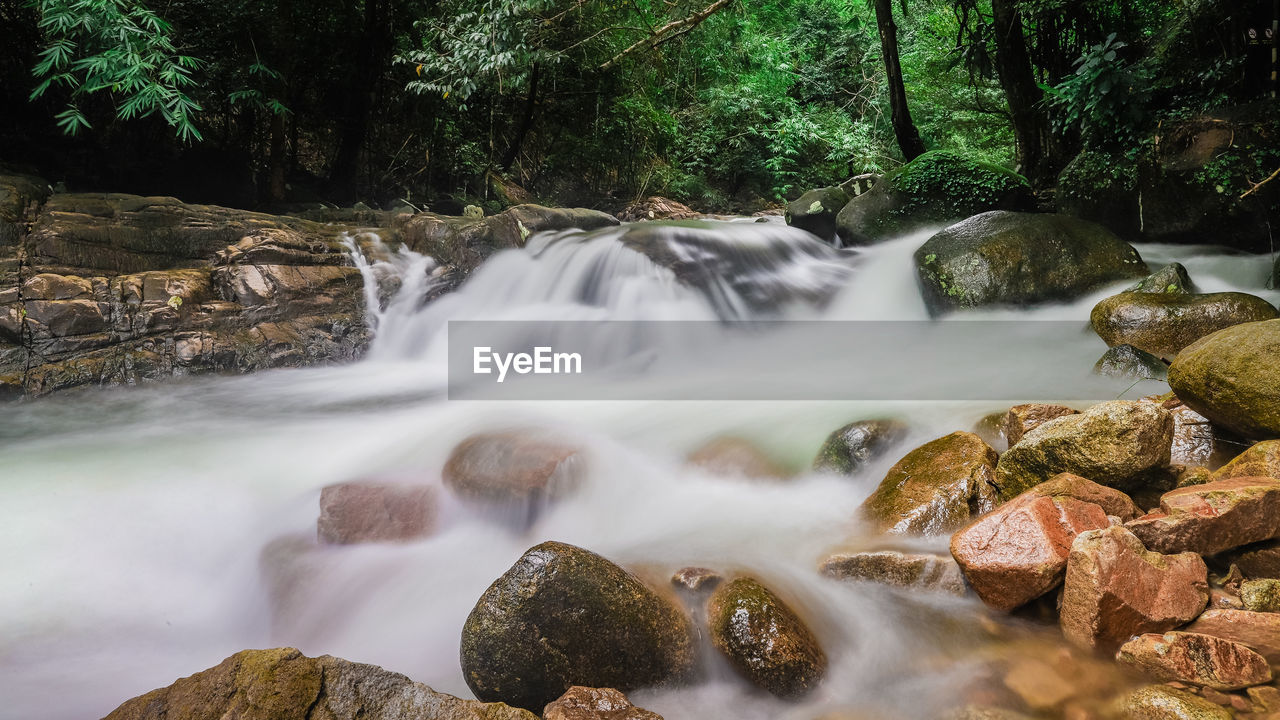 View of waterfall in forest