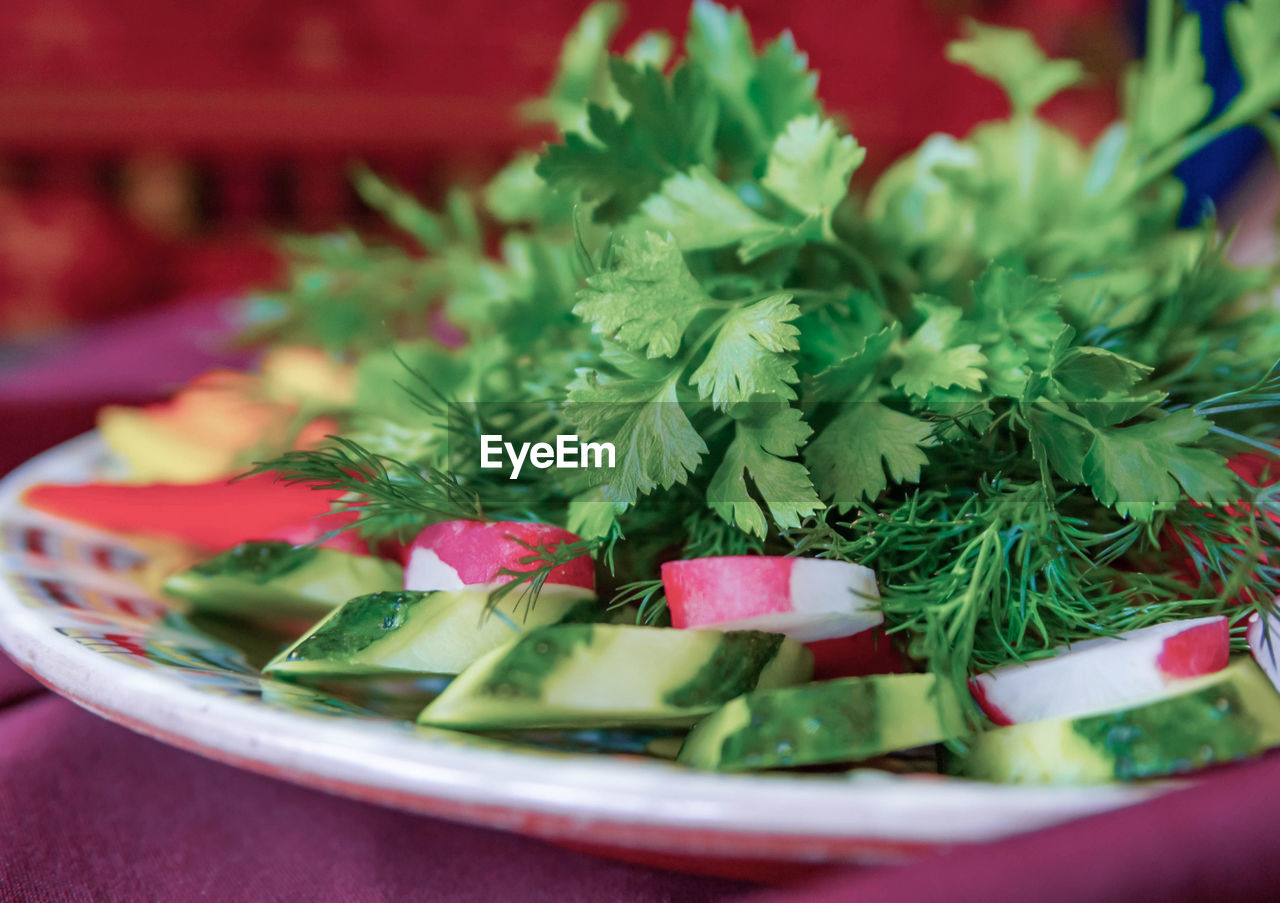 CLOSE-UP OF SALAD IN PLATE