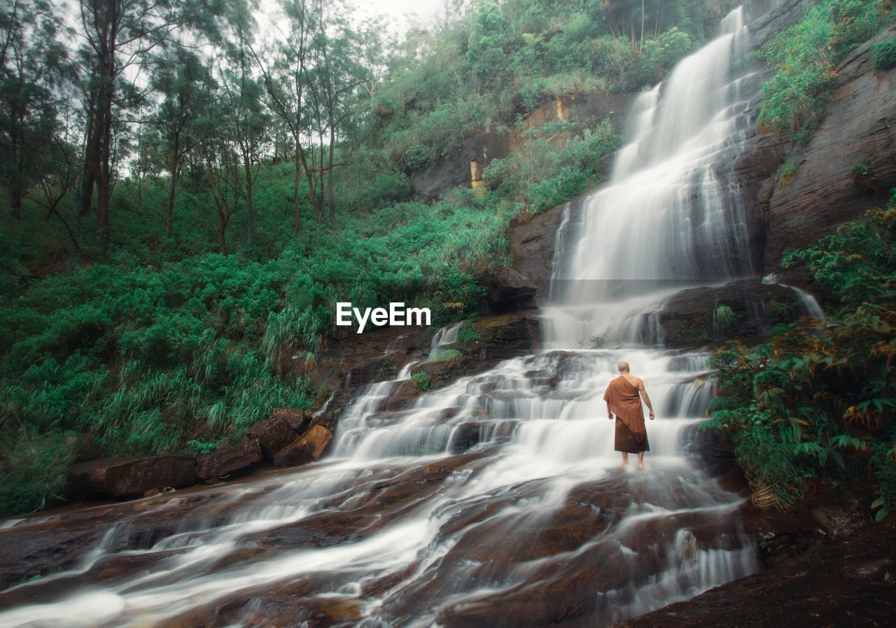 Rear view of monk standing at waterfall in forest