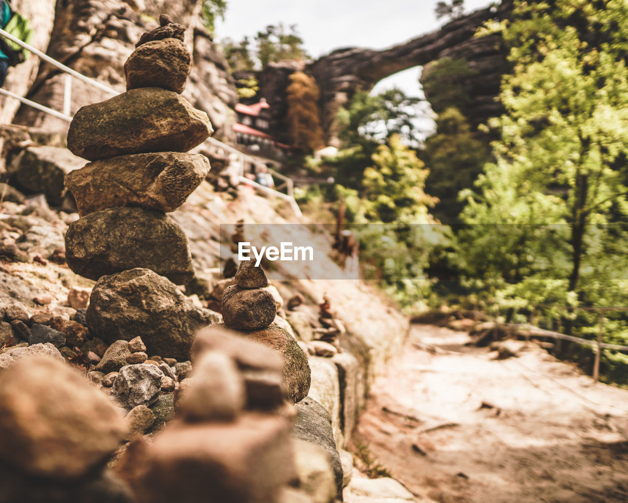 Close-up of stone stacked in forest