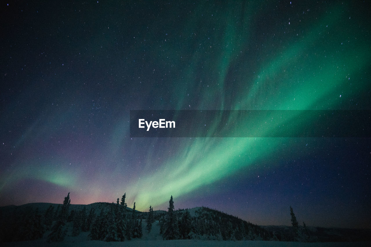 Low angle view of star field against sky at night