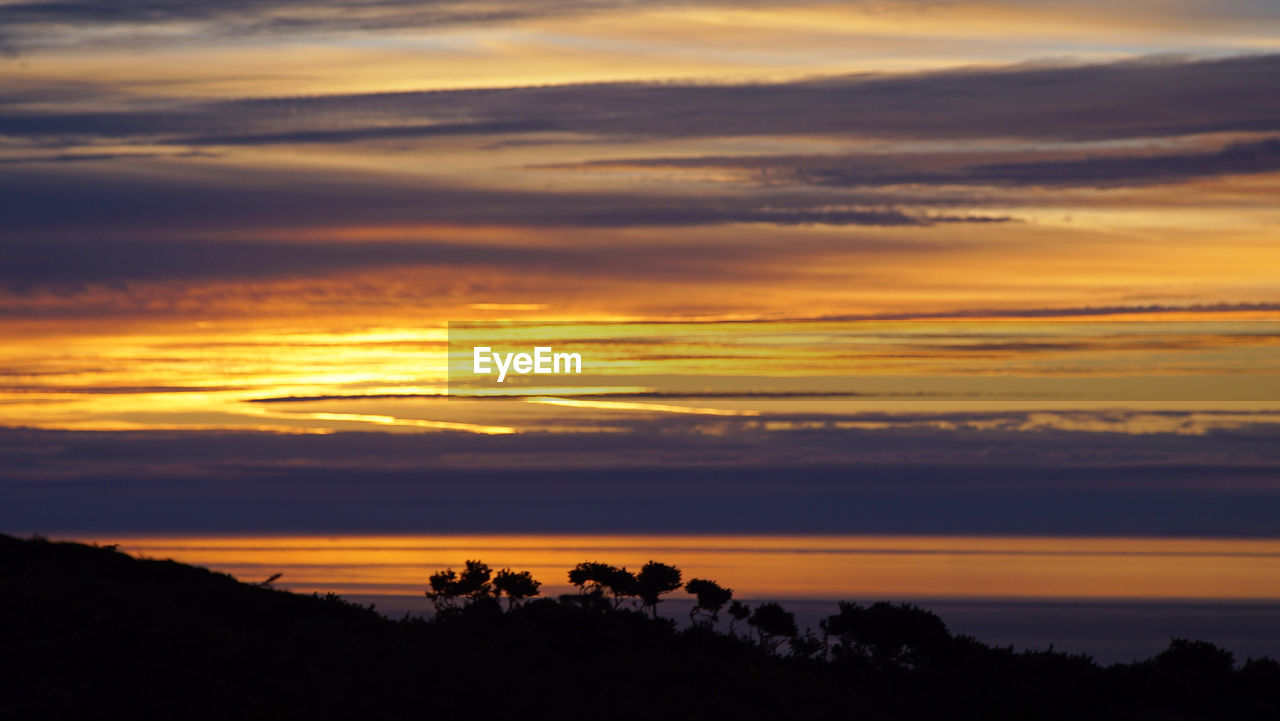 Silhouette of trees against dramatic sky