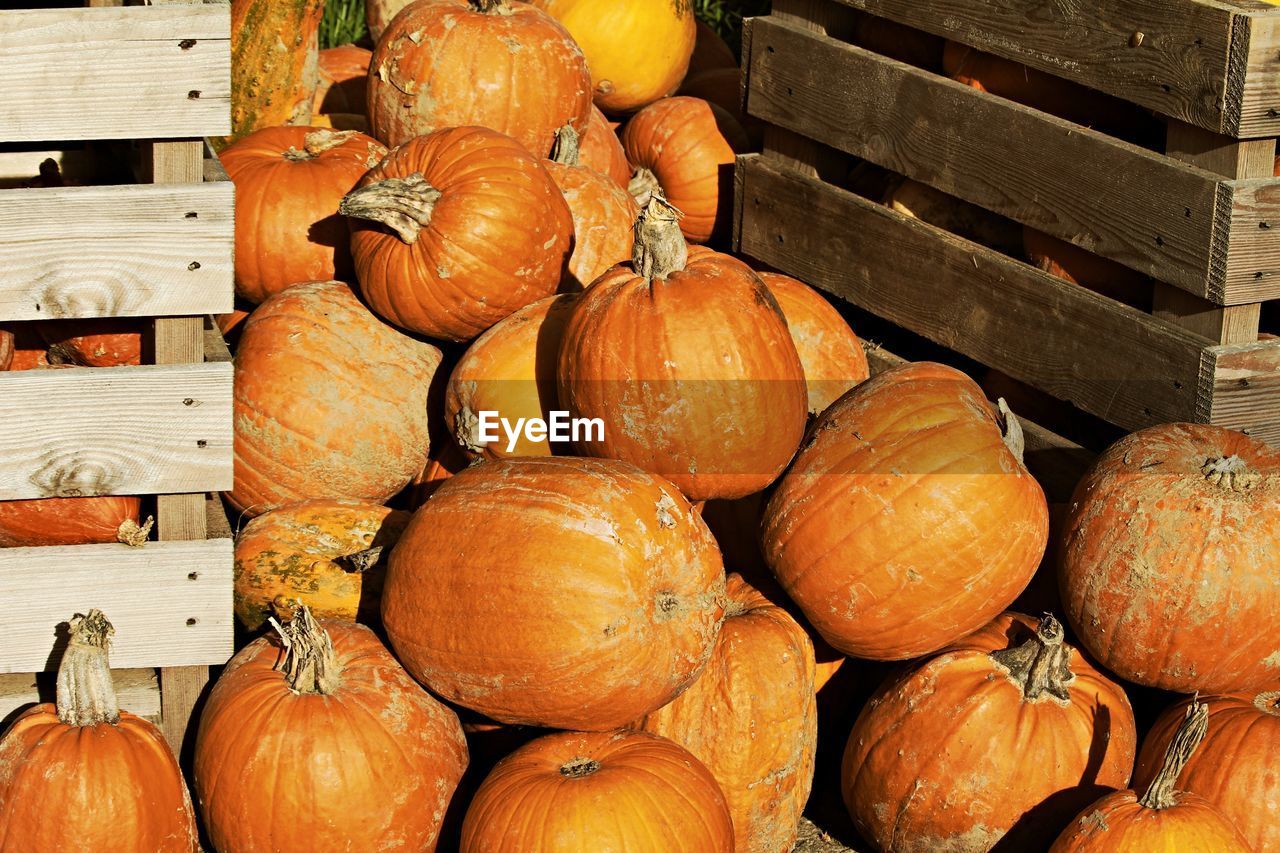 High angle view of pumpkins for sale at market