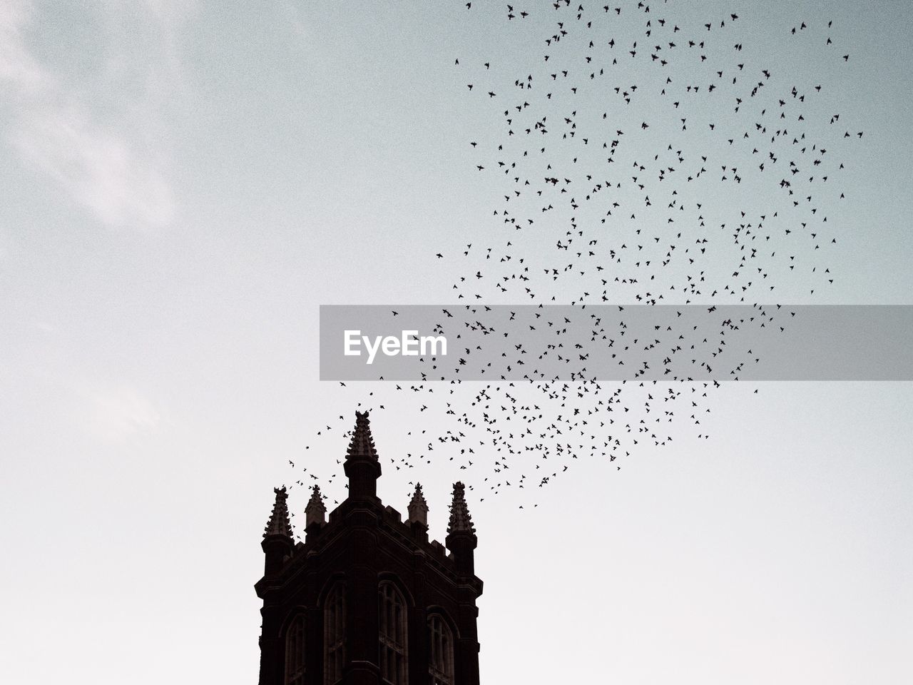 Low angle view of birds flying over tower against sky