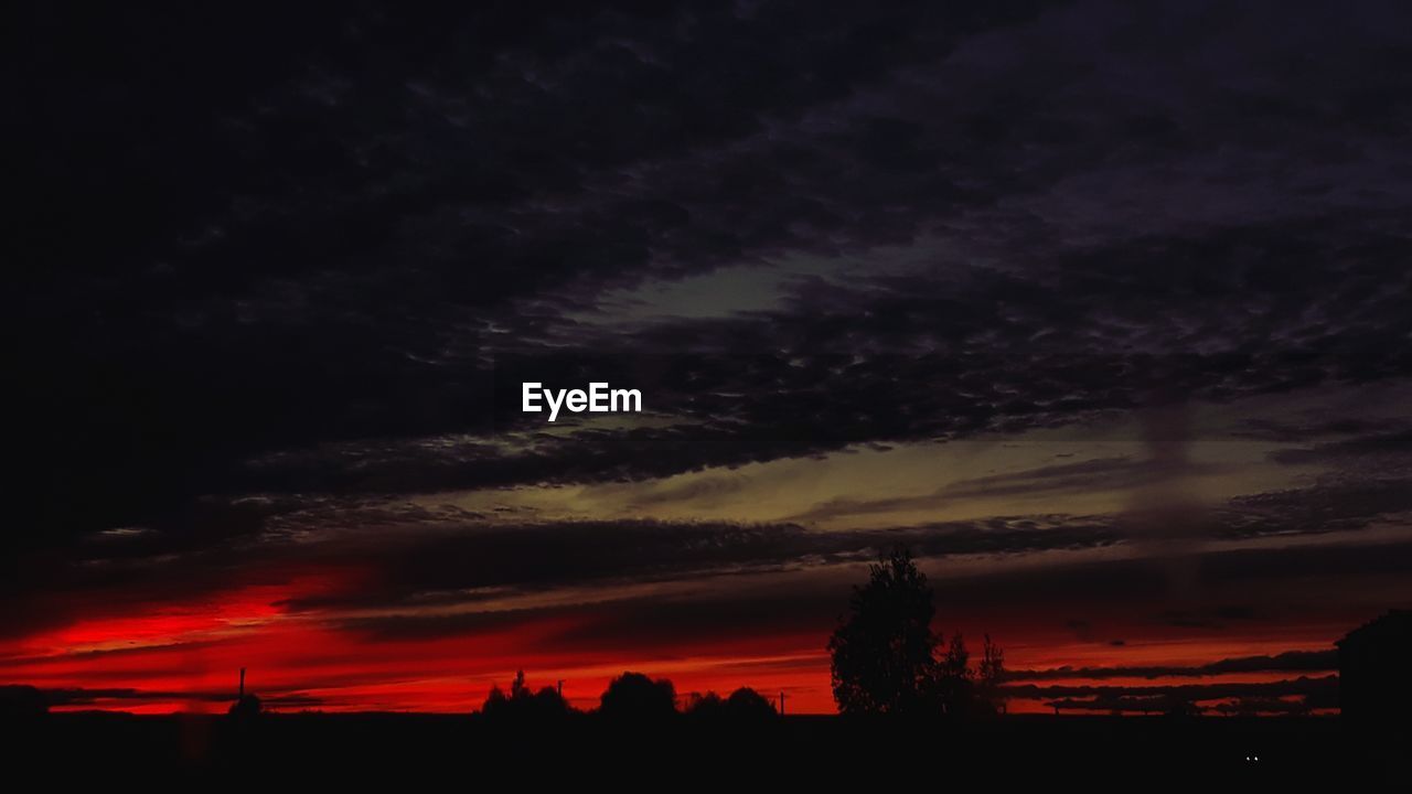 SILHOUETTE OF TREES AGAINST DRAMATIC SKY