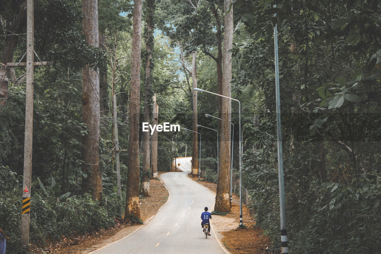 Person riding bicycle on road amidst trees in forest