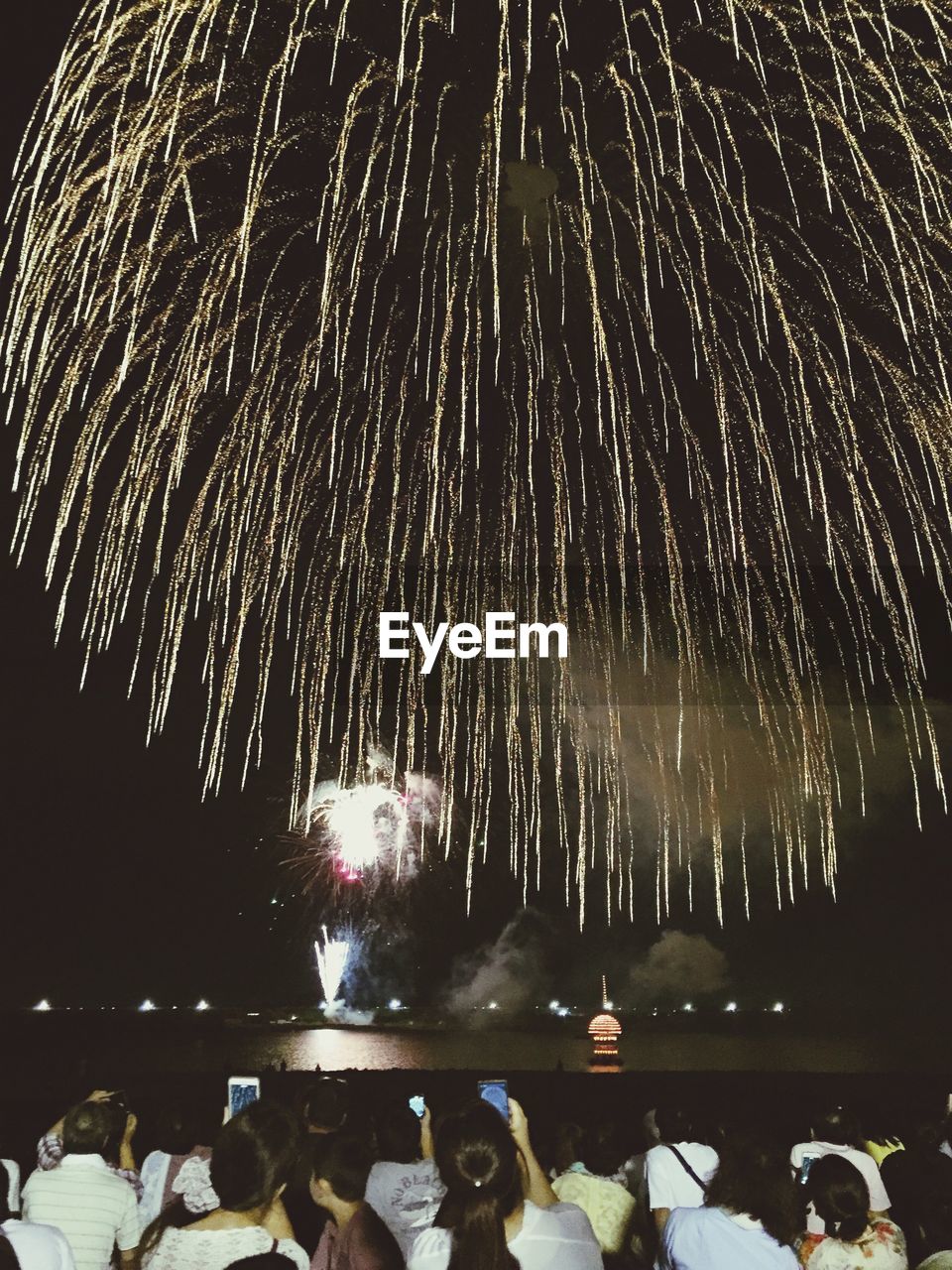 People enjoying firework display by sea at night