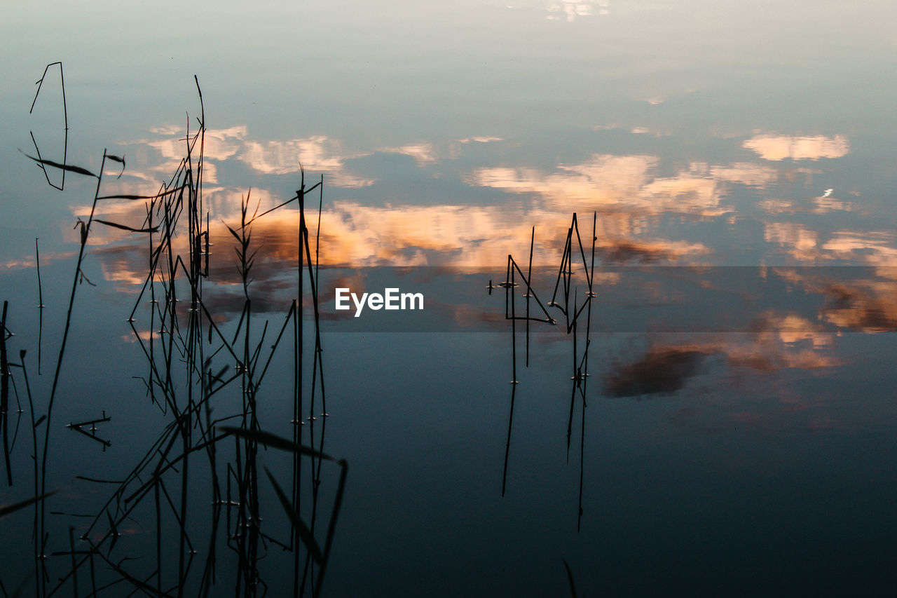 Scenic view of lake during sunset