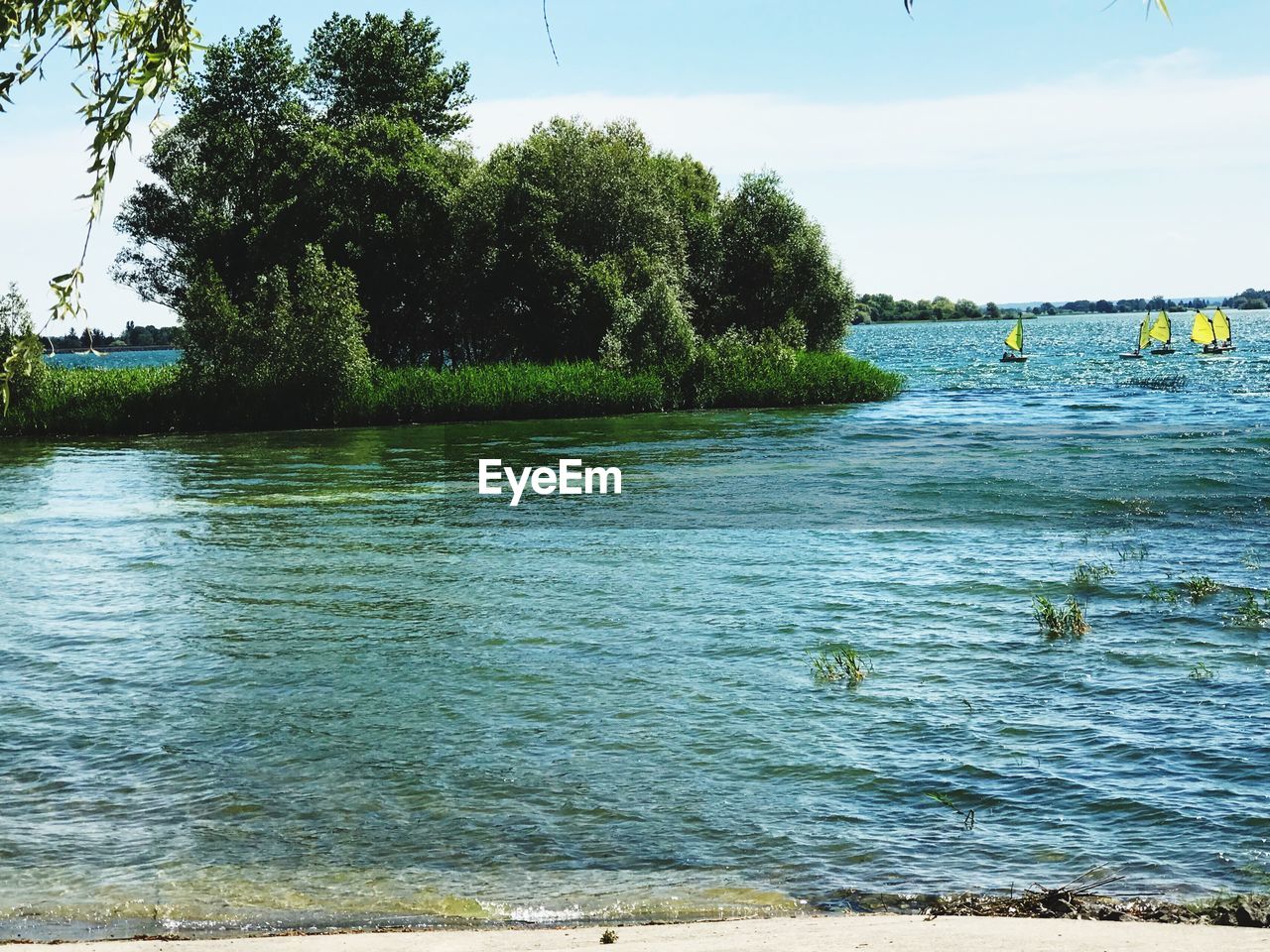 SCENIC VIEW OF SEA AND TREES