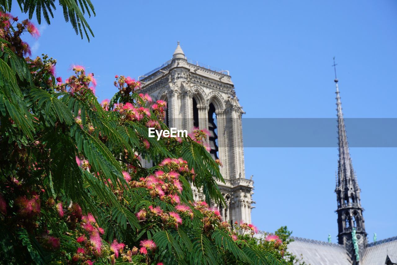 Flowers growing on tree by cathedral against clear sky