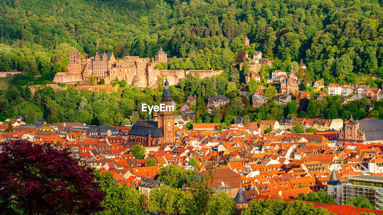 High angle view of trees and buildings in town