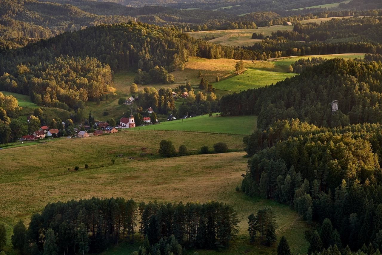 High angle view of green landscape