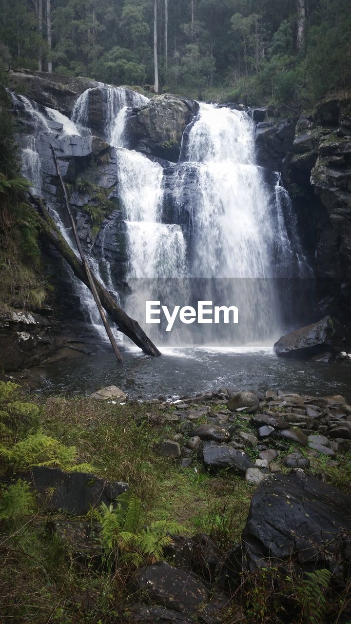 SCENIC VIEW OF WATERFALL IN FOREST