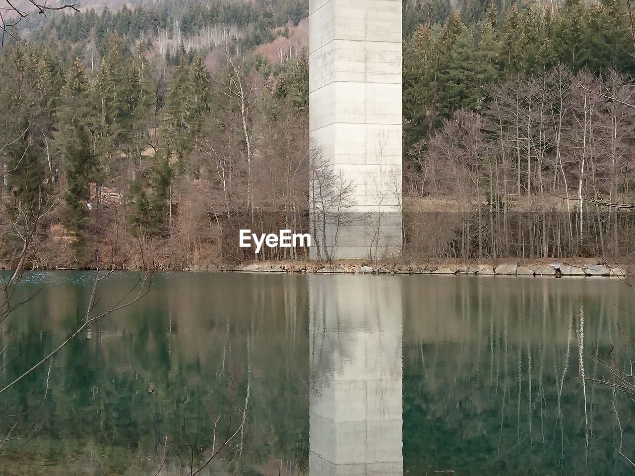 REFLECTION OF TREES IN WATER ON WATER