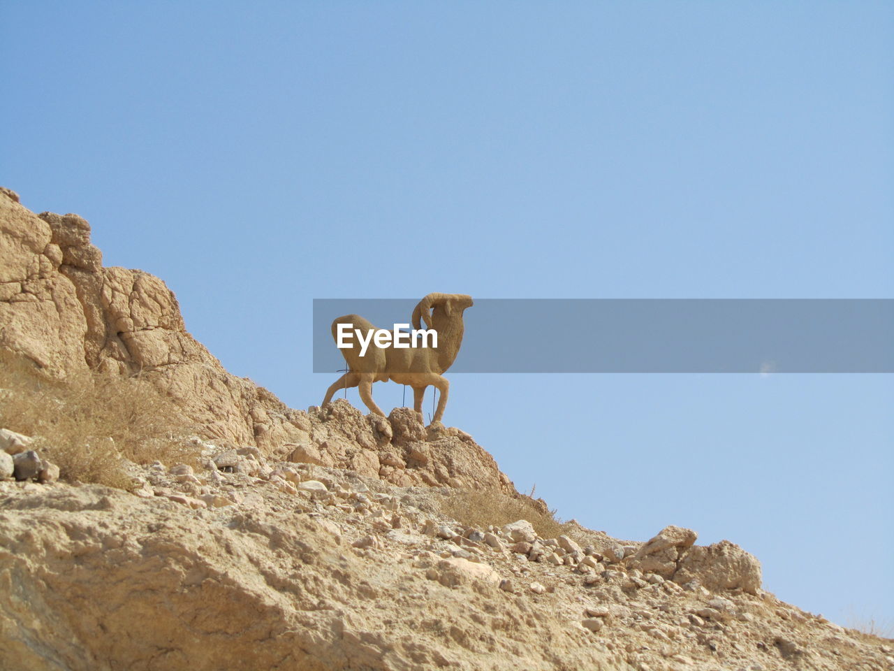 HORSE STANDING AGAINST SKY