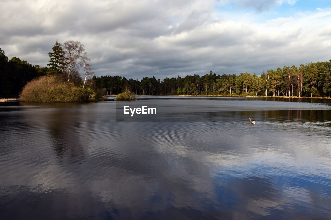 SCENIC VIEW OF LAKE