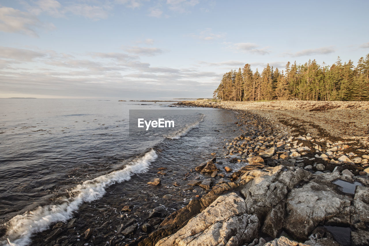 Waves lap against rocky coast at sunrise, acadia national park, maine