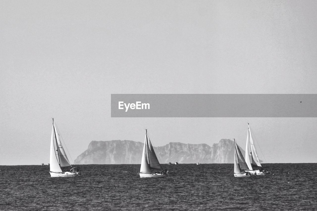 Sailboats sailing in sea against clear sky