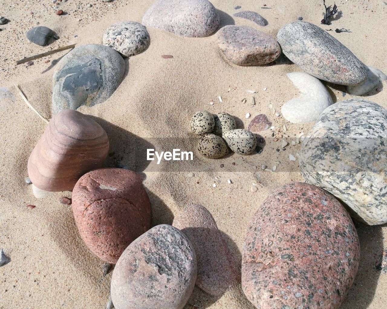 CLOSE-UP OF PEBBLE ON BEACH