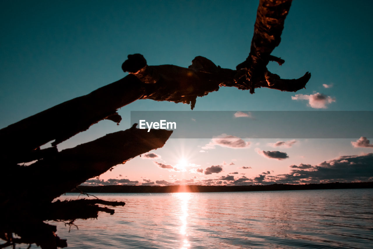 Close-up of of driftwood with sun shining over sea during sunset