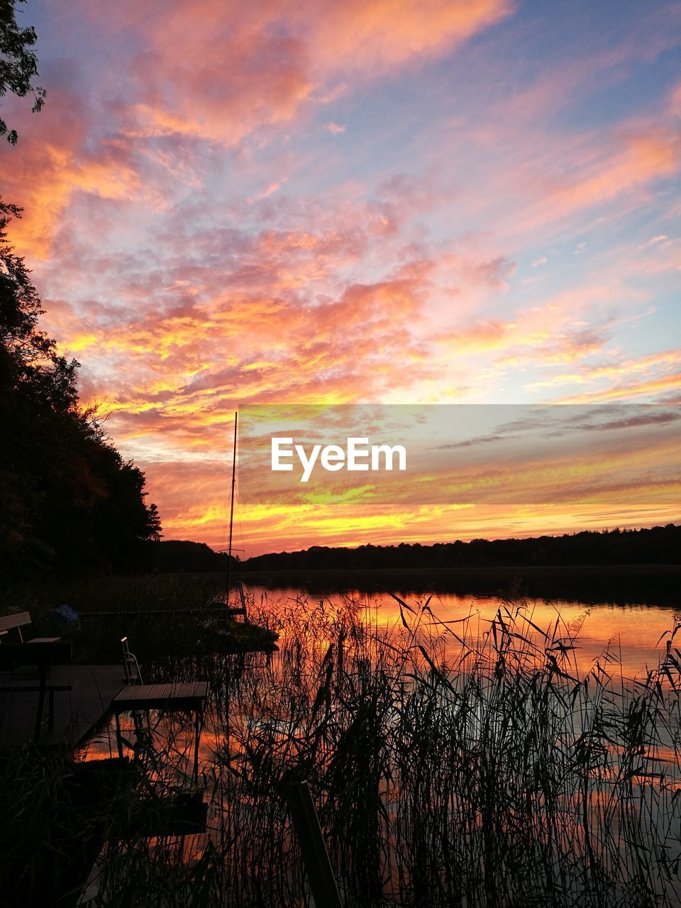 SILHOUETTE PLANTS BY LAKE AGAINST ORANGE SKY