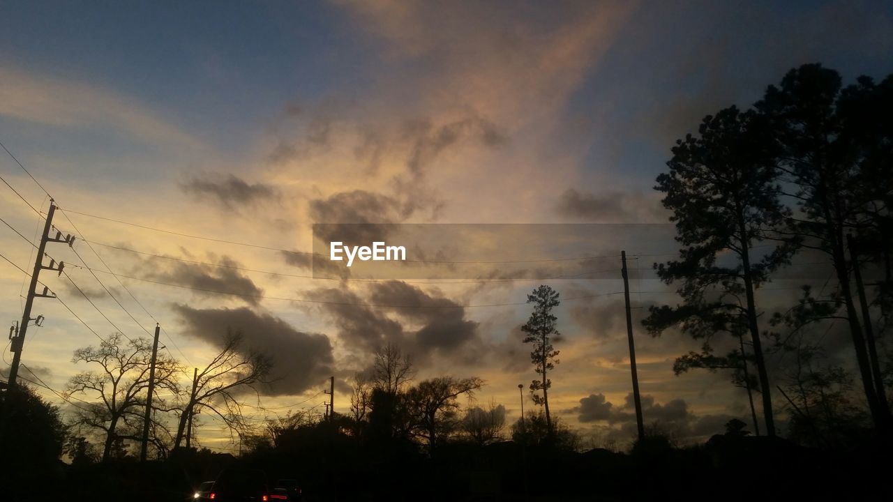 SILHOUETTE TREES IN FOREST AGAINST SKY DURING SUNSET