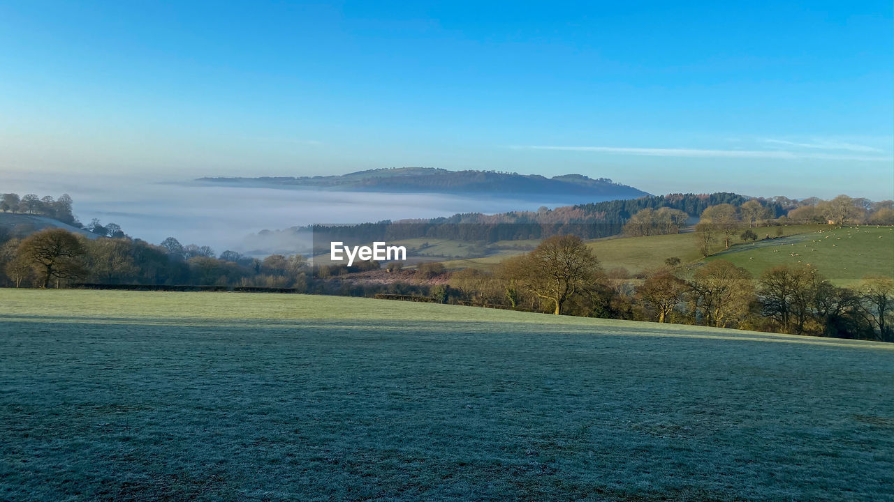 Scenic view of landscape against blue sky