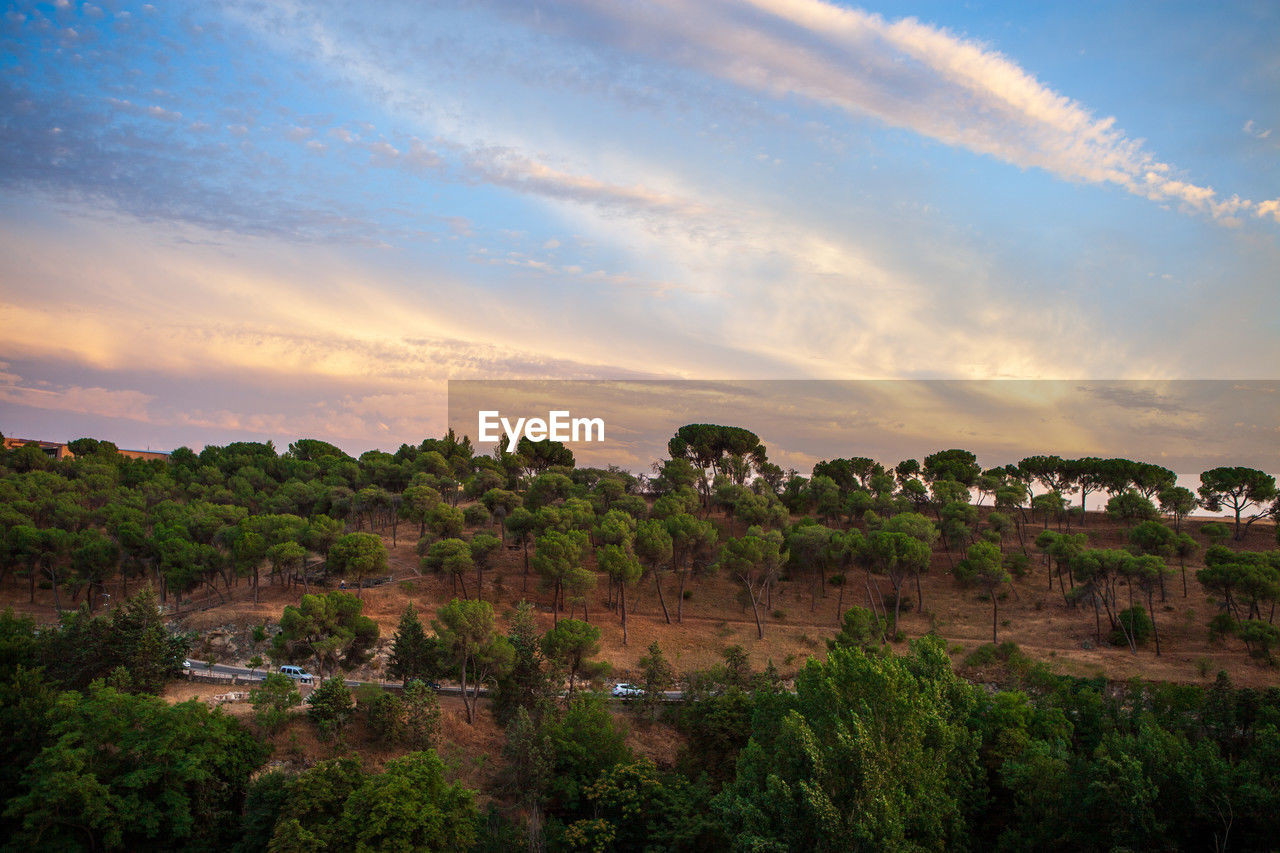 sky, environment, landscape, nature, sunset, plant, horizon, tree, cloud, hill, land, scenics - nature, travel, dusk, travel destinations, architecture, no people, beauty in nature, rural area, evening, tourism, outdoors, sun, field, sunlight, city, agriculture, rural scene, blue, twilight, tranquility, savanna, forest, religion, building